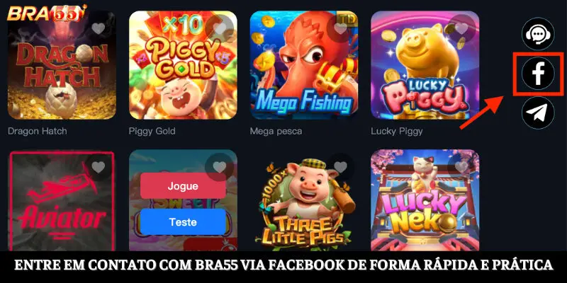 Contato com a BRA55 via Facebook de forma rápida e prática